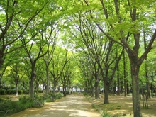 靱公園