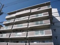 ミオハイツザコ 外観