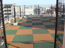 画像共用１
