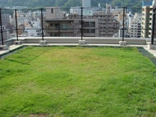 画像共用２