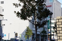 りそな銀行神戸支店
