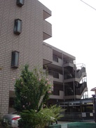 4343500/建物外観