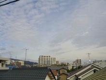 画像内装１１